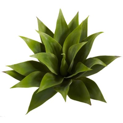 Image showing  17 in. Artificial Agave Succulent Plants, 2 pc.