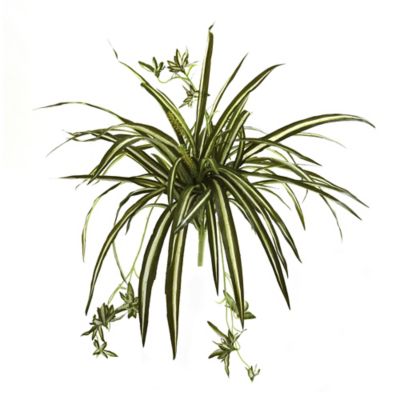 Nearly Natural 23 in. Artificial Spider Plant Bushes, 4 pc.