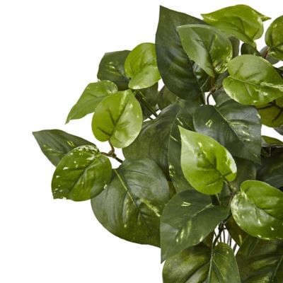 Image showing  16 in. Artificial Pothos Plants, 6 pc.