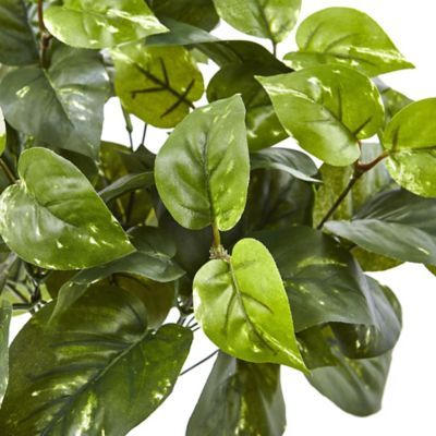 Image showing  16 in. Artificial Pothos Plants, 6 pc.