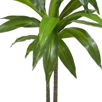 Image showing  48 in. Dracaena Silk Plant with Basket, Real Touch
