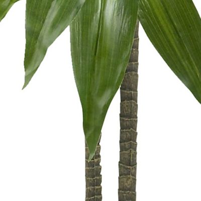 Image showing  48 in. Dracaena Silk Plant with Basket, Real Touch