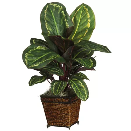 Almost Natural Faux Maranta Silk Plant with Basket Artificial Plants & Flowers