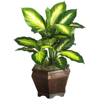 Nearly Natural 20.5 in. Golden Dieffenbachia Silk Plant with Wood Vase