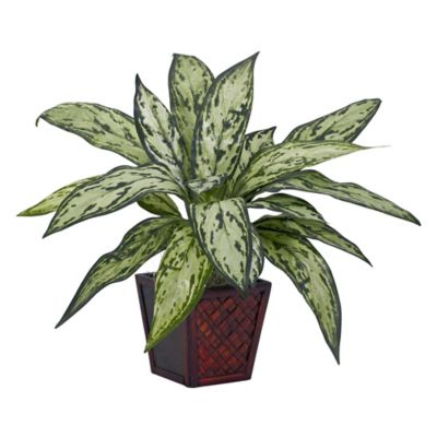 Image showing  Silver Queen Silk Plants, 2-Pack