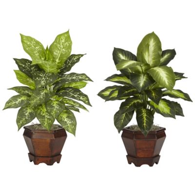 Nearly Natural 20.5 in. Dieffenbachia Silk Plants with Wood Vase, Assorted, 2-Pack