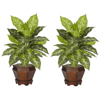 Nearly Natural 20.5 in. Dieffenbachia Silk Plants with Wood Vase, Variegated, 2 pk.
