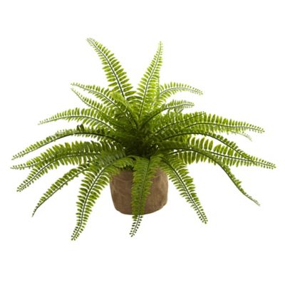 Image showing  15 in. Faux Boston Ferns in Burlap Planters, 2 pc.