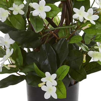 Image showing  24 in. Artificial Stephanotis Climbing Plant