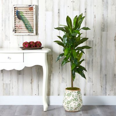 Image showing  4 ft. Artificial Dracaena Plant with Real Touch in Flower Print Planter