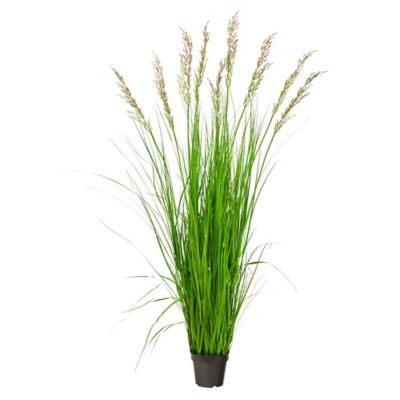 Nearly Natural 5.5 ft. x 24 in. Artificial Plume Grass Plant