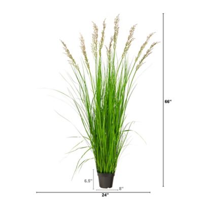 Image showing  5.5 ft. x 24 in. Artificial Plume Grass Plant