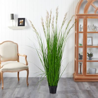 Image showing  5.5 ft. x 24 in. Artificial Plume Grass Plant
