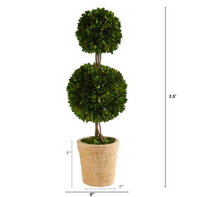 Image showing  2.5 ft. Artificial Preserved Boxwood Double Ball Topiary Tree in Decorative Planter