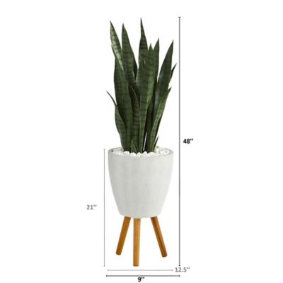Image showing  4 ft. Artificial Sansevieria Plant in White Planter with Stand
