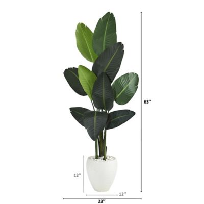 Image showing  63 in. Travelers Artificial Palm Tree in White Planter