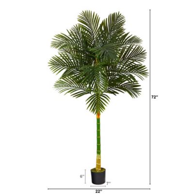 Image showing  6 ft. Golden Cane Artificial Palm Tree, 22 in. W