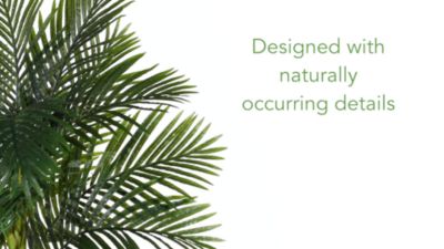 Image showing  6 ft. Golden Cane Artificial Palm Tree, 22 in. W