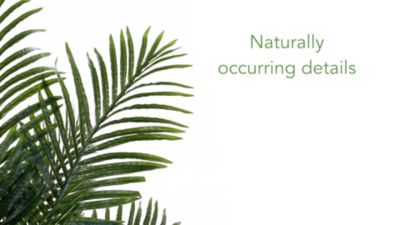 Image showing  4 ft. Artificial Golden Cane Palm Tree, T2017