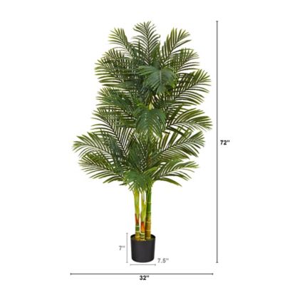 Image showing  6 ft. x 32 in. Artificial Golden Cane Palm Tree