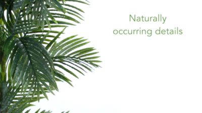 Image showing  6 ft. x 32 in. Artificial Golden Cane Palm Tree