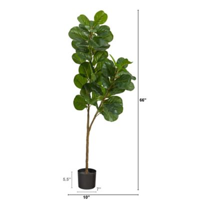 Image showing  5.5 ft. Fiddle Leaf Fig Artificial Tree