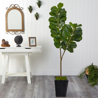 Image showing  68 in. Fiddle Leaf Fig Artificial Tree in Black Metal Planter
