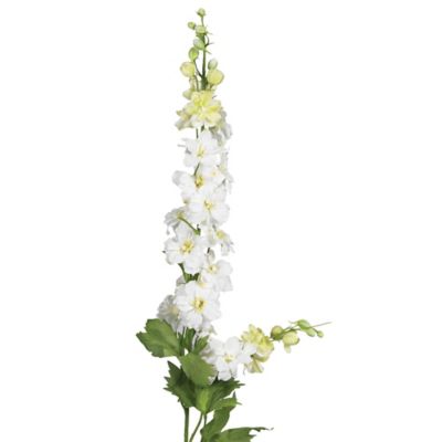 Image showing  38.5 in. Artificial White Delphinium Stems, 12 pc.