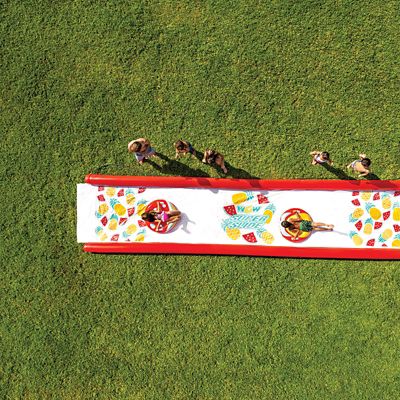 Image showing  Pineapple Lawn Slide