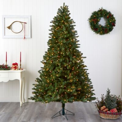 Image showing  7.5 ft. Rembrandt Christmas Tree with Clear Lights