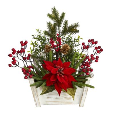 Christmas Plants & Flowers