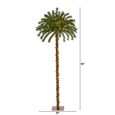 Image showing  5 ft. Christmas Palm Artificial Tree with Warm White LED Lights