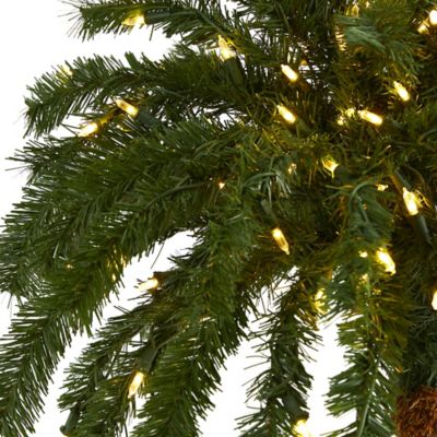 Image showing  6 ft. Christmas Palm Artificial Tree with Warm White LED Lights