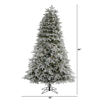 Image showing  7 ft. Flocked Colorado Mountain Fir Artificial Christmas Tree with LED Lights