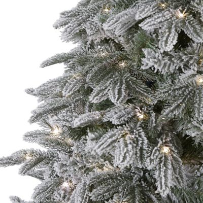 Image showing  7 ft. Flocked Colorado Mountain Fir Artificial Christmas Tree with LED Lights