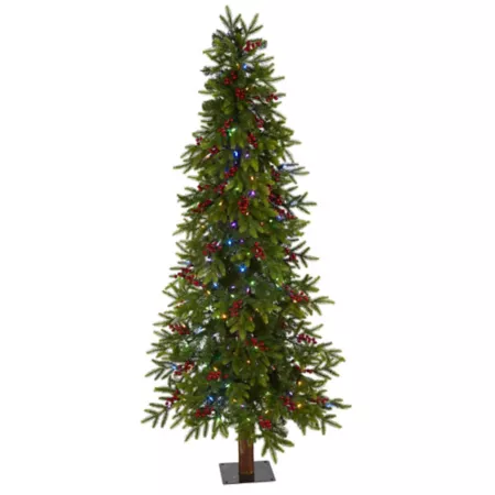 Nearly Natural Victoria 6-Foot Artificial Christmas Tree with LED Lights Artificial Christmas Trees