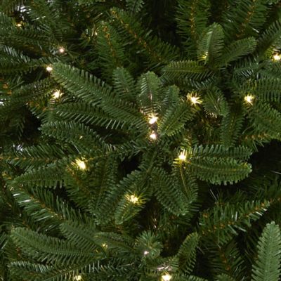 Image showing  7 ft. Oregon Spruce Artificial Christmas Tree with LED Lights