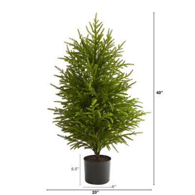 Image showing  40 in. Norfolk Island Pine Natural Look Artificial Tree
