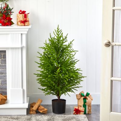 Image showing  40 in. Norfolk Island Pine Natural Look Artificial Tree