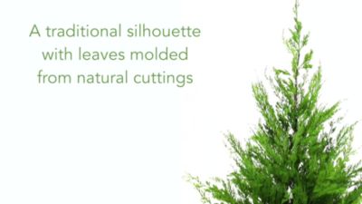 Image showing  3.5 ft. Artificial Cedar Pine Natural-Look Tree in Decorative Planter