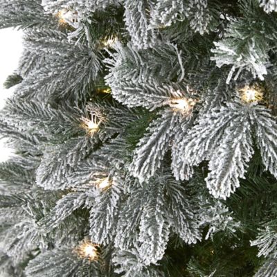 Image showing  5 ft. Flocked Colorado Mountain Fir Artificial Christmas Tree with Warm Micro LED Lights, Instant Connect