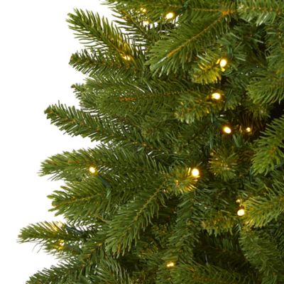Image showing  5 ft. Sierra Spruce Natural Look Artificial Christmas Tree with Clear LED Lights