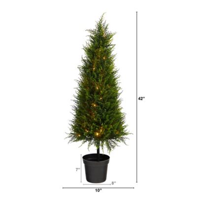 Image showing  3.5 ft. Pre-Lit Indoor/Outdoor UV-Resistant Cypress Artificial Tree