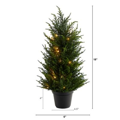 Image showing  18 in. Pre-Lit Indoor/Outdoor UV-Resistant Cedar Artificial Tree