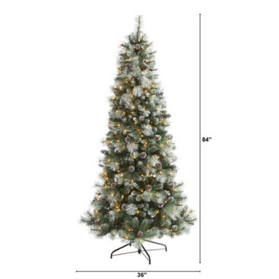 Image showing  7 ft. Frosted Tip British Columbia Mountain Pine Artificial Christmas Tree with Lights