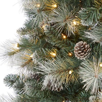 Image showing  7 ft. Frosted Tip British Columbia Mountain Pine Artificial Christmas Tree with Lights