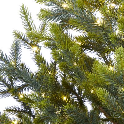 Image showing  5 ft. Fraser Fir Natural Look Artificial Christmas Tree in Base with Clear LED Lights, Bendable Branches