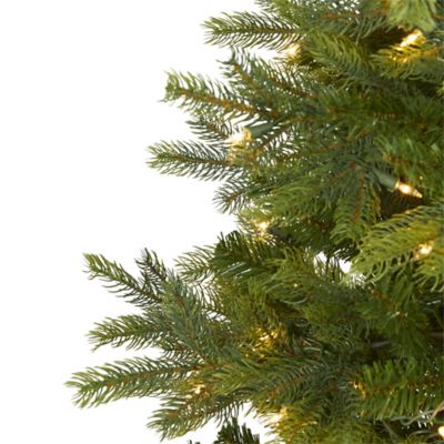 Image showing  4 ft. North Carolina Spruce Artificial Christmas Tree with Clear LED Lights and Bendable Branches