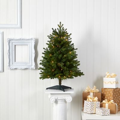 Image showing  3 ft. Washington Fir Artificial Christmas Tree with Clear Lights