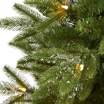 Image showing  3 ft. Pre-Lit Snowed Grand Teton Fir Artificial Christmas Tree with Bendable Branches, Clear Lights